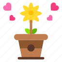 flowers, pot, heart, love, and, romance