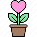 valentine, love, dating, lover, heart, flower, flower pot