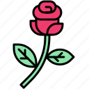 valentine, love, dating, lover, heart, rose, flower