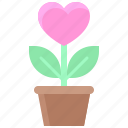 valentine, love, dating, lover, heart, flower, flower pot