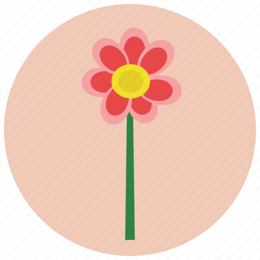 Ecology, floral, flower, nature, plant icon - Download on Iconfinder