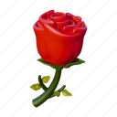 rose, flower, romance, valentine, nature, plant, blossom, love 