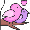 love birds, love, birds, heart, gift