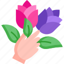rose, proposal, flower, love