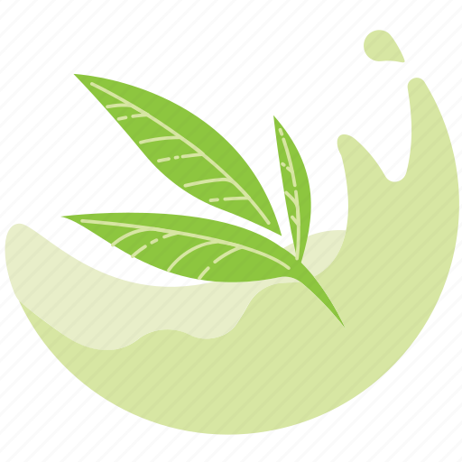 Fresh, green, tea, drink, matcha, flavor icon - Download on Iconfinder