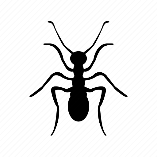 Ant, bug, butterfly, insect, protection, security icon - Download on Iconfinder