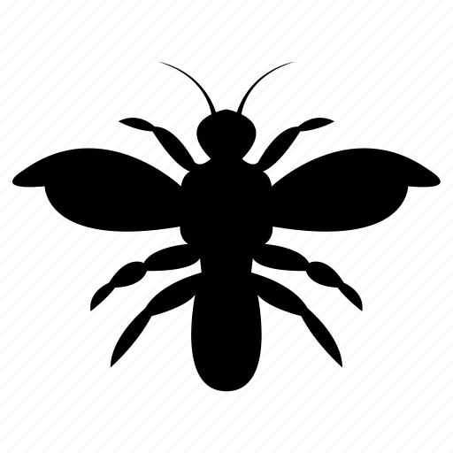 Bee, bug, butterfly, insect, virus icon