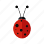 animal, design, insect, ladybug, nature, red 