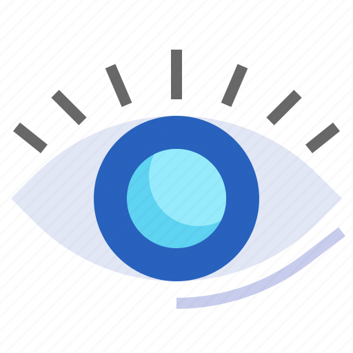 Eye, see, sight, vision, visualization icon - Download on Iconfinder