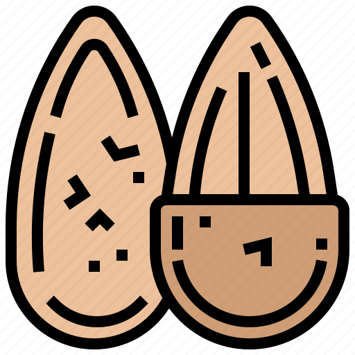 Almond, fruit, nut, nutrient, seed icon - Download on Iconfinder