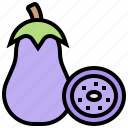 aubergine, eggplant, food, fruit, healthy