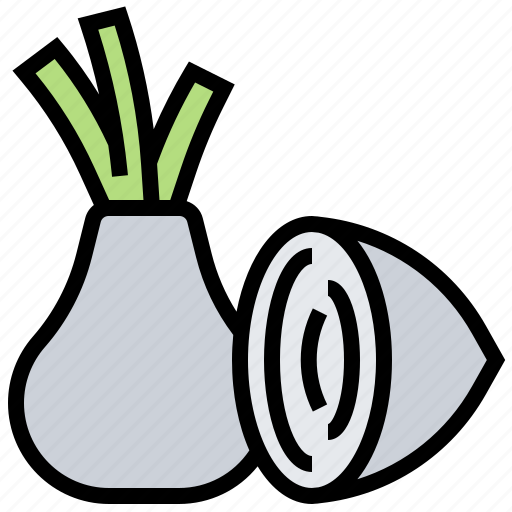 Bulb, herb, onion, seasoning, shallot icon - Download on Iconfinder