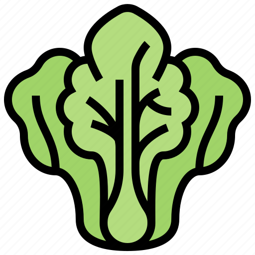 Cabbage, chinese, fresh, organic, vegetable icon - Download on Iconfinder