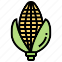 agriculture, corn, grain, maize, natural