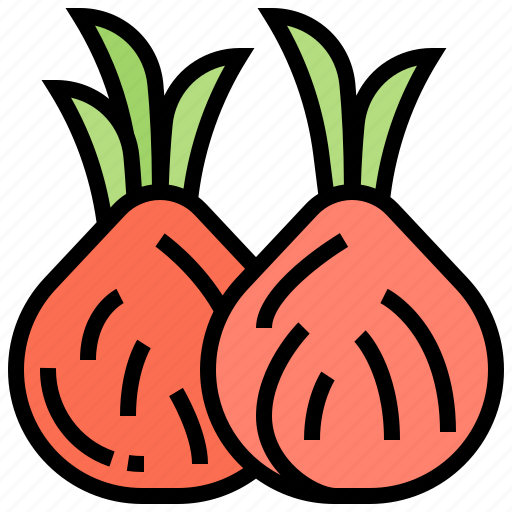 Bulb, culinary, ingredient, onion icon - Download on Iconfinder