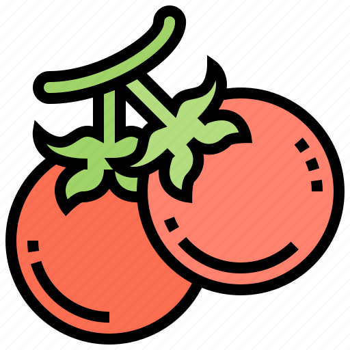 Fresh, organic, tomato, vegetable, vitamin icon - Download on Iconfinder