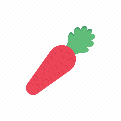 Diet, vegetable, healthy, carrot, food icon - Download on Iconfinder