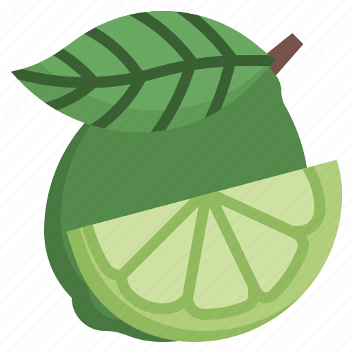 Lime, fruit, healthy, food, and, restaurant, organic icon - Download on Iconfinder