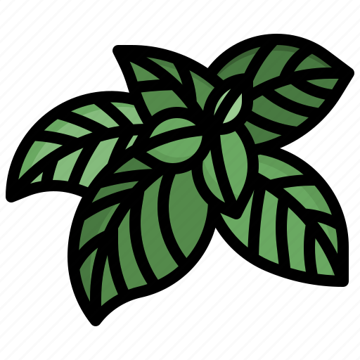 Basil, food, and, restaurant, organic, vegan, herbs icon - Download on Iconfinder