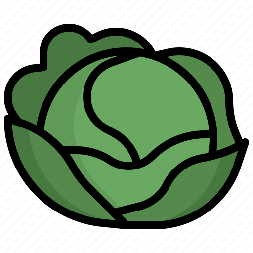 Cabbage, vegetarian, diet, vegetables, organic icon - Download on Iconfinder