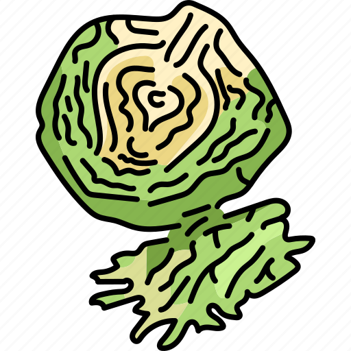 Cut, leaf, raw, cabbage icon - Download on Iconfinder