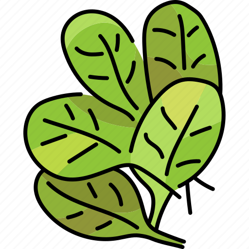 Spinach, leaf, salad icon - Download on Iconfinder