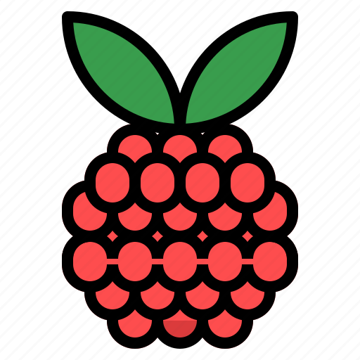 Berry, rasberries icon - Download on Iconfinder