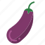 aubergine, eggplant 