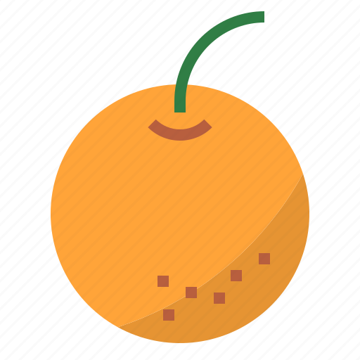 Orange icon - Download on Iconfinder on Iconfinder