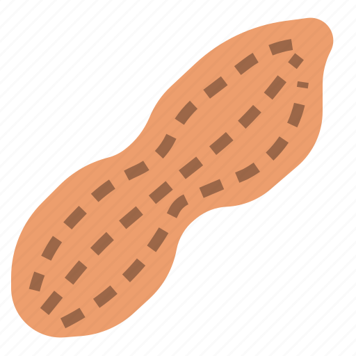 Nut, peanut icon - Download on Iconfinder on Iconfinder