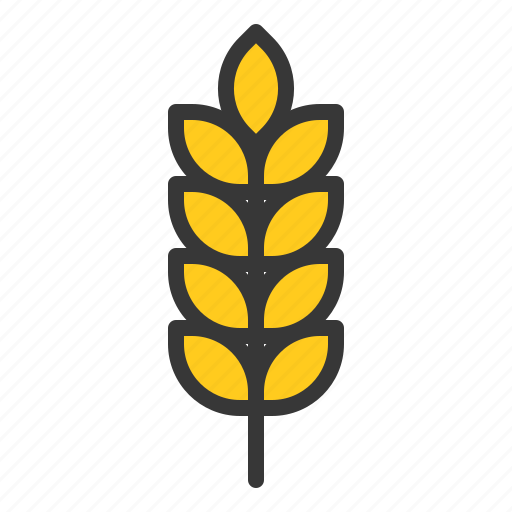 Barley, food, healthy, vegan, vegetable, wheat icon - Download on Iconfinder