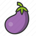 eggplant, food, healthy, vegan, vegetable