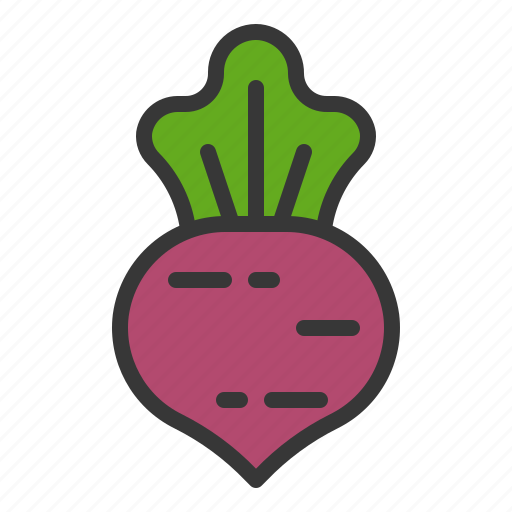 Beetroot, food, healthy, vegan, vegetable icon - Download on Iconfinder