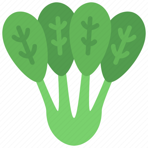 Spinach, vegetable, organic food, healthy, vegetarian, vegan, nutrition icon - Download on Iconfinder