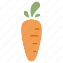 carrot, carrots, food, healthy, organic, vegetable, vitamin