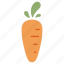 carrot, carrots, food, healthy, organic, vegetable, vitamin 