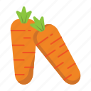 carrot, vegetable, food, fruit, vegetables, vegetarian, healthy, organic, healthy food