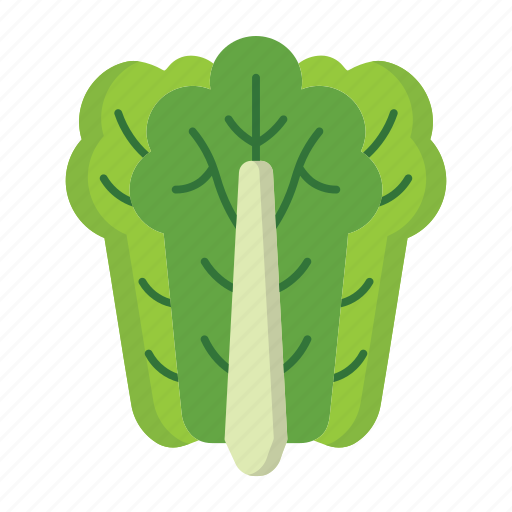 Lettuce, green, leaf, cabbage, salad, healthy, vegetarian icon - Download on Iconfinder