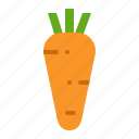 carrot, food, healthy, vegan, vegetable