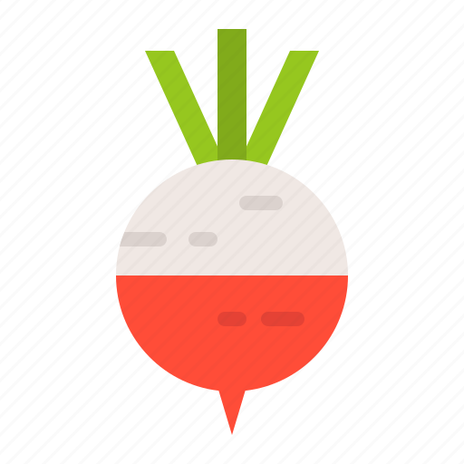 Food, healthy, turnip, vegan, vegetable icon - Download on Iconfinder