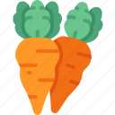 carrot, vegan, organic, agriculture, vegetable 