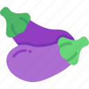 eggplant, vegetable, salad, vegetarian, organic