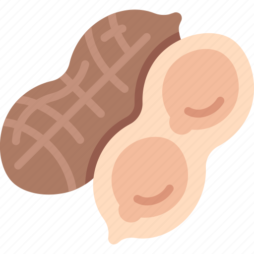 Peanut, gastronomy, nutrition, nut, snack icon - Download on Iconfinder