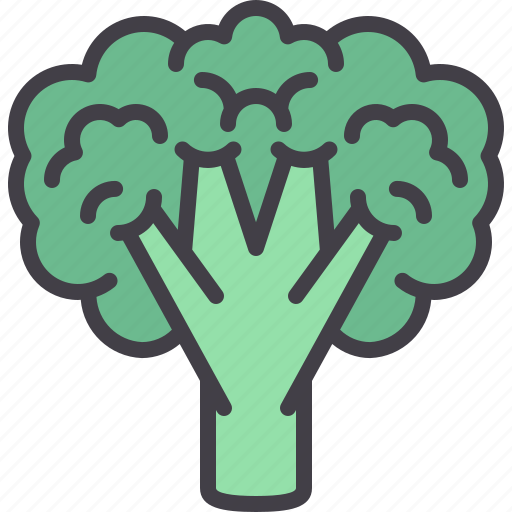Broccoli, vegetable, food, supermarket, vegan icon - Download on Iconfinder