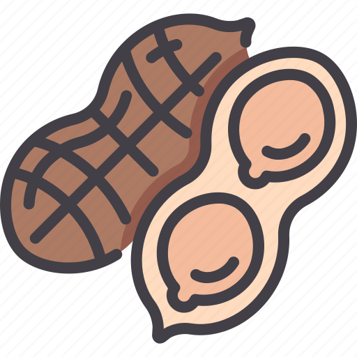 Peanut, gastronomy, nutrition, nut, snack icon - Download on Iconfinder