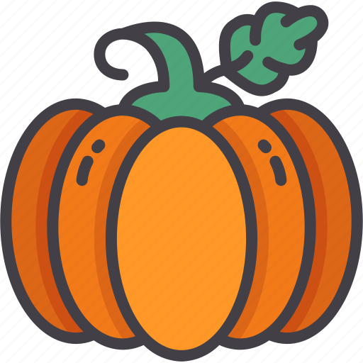 Pumpkin, organic, vegan, healthy, diet icon - Download on Iconfinder