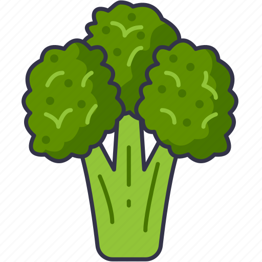 Broccoli, vegetable, vegan, nutrition, gastronomy, healthy, food icon - Download on Iconfinder