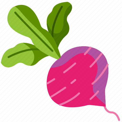 Beetroot, gastronomy, radish, vegan, healthy, food, nutrition icon - Download on Iconfinder
