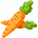 carrot, vegetable, gastronomy, vegan, healthy, food, nutrition, diet, vegetarian