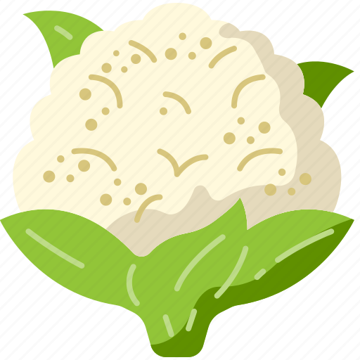 Cauliflower, food, vegetable, healthy, vegan, organic, diet icon - Download on Iconfinder